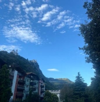 WhatsApp Image 2025-09-22 at 10.39.29 (3)